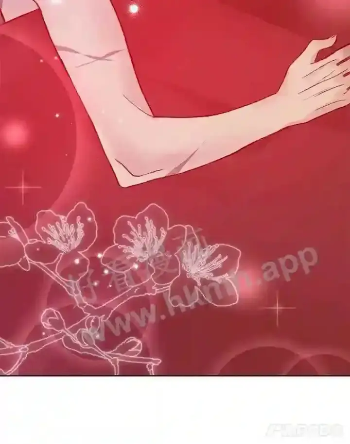 《龙套大公子妃的花路人生》10.你喜欢吗?图48