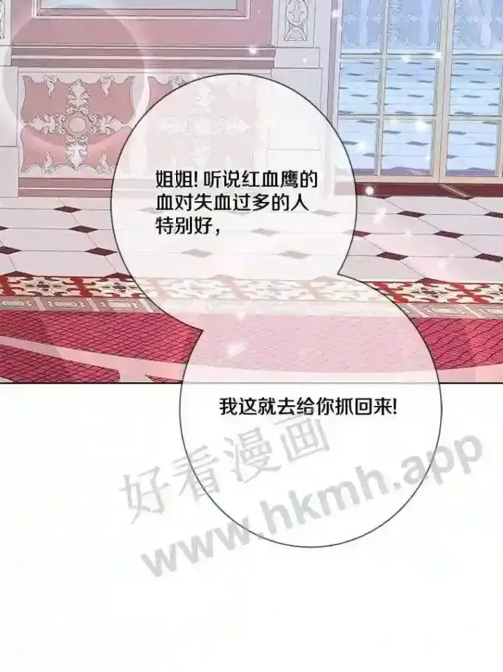 《龙套大公子妃的花路人生》11.找到约翰了图66