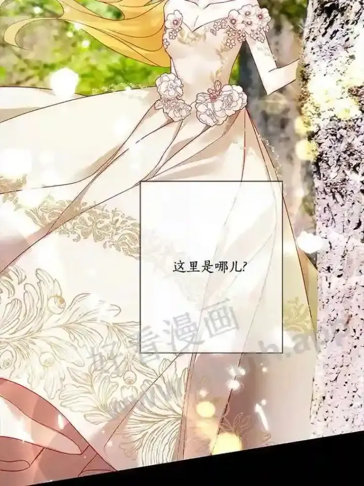 《龙套大公子妃的花路人生》12.约翰的真实身份图8