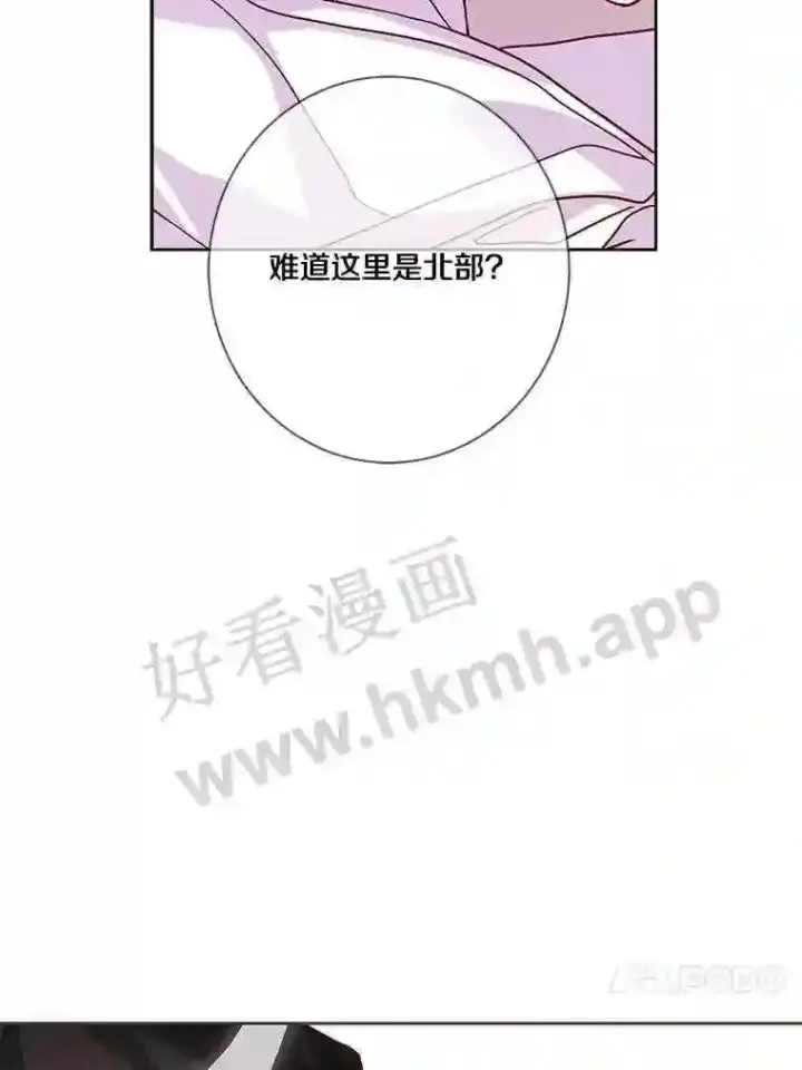 《龙套大公子妃的花路人生》12.约翰的真实身份图80