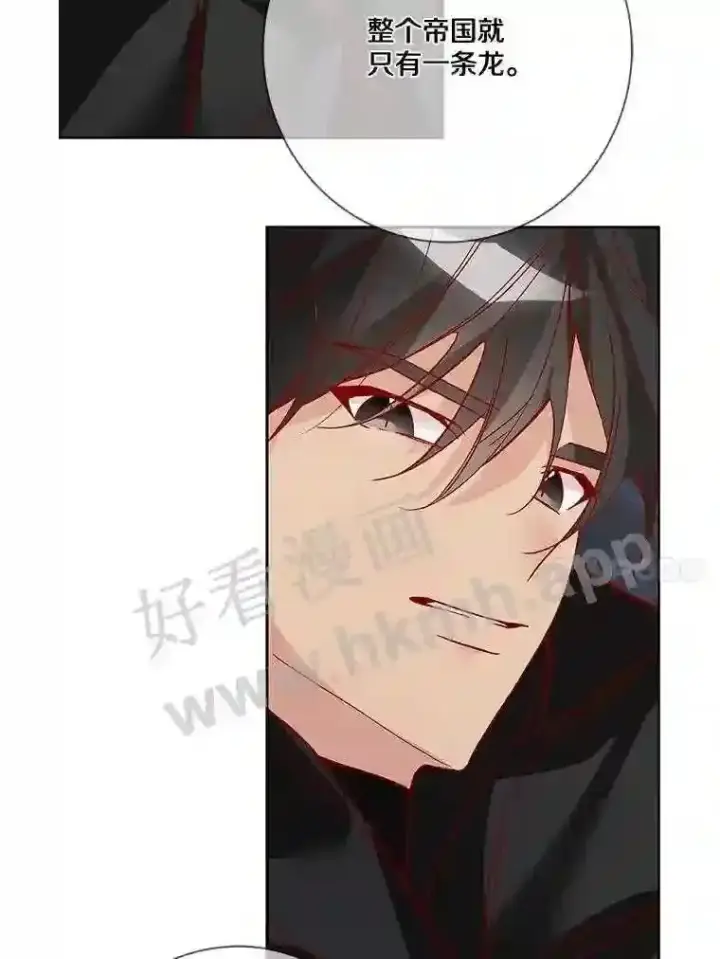 漫画《龙套大公子妃的花路人生》13.药的来历第10张图