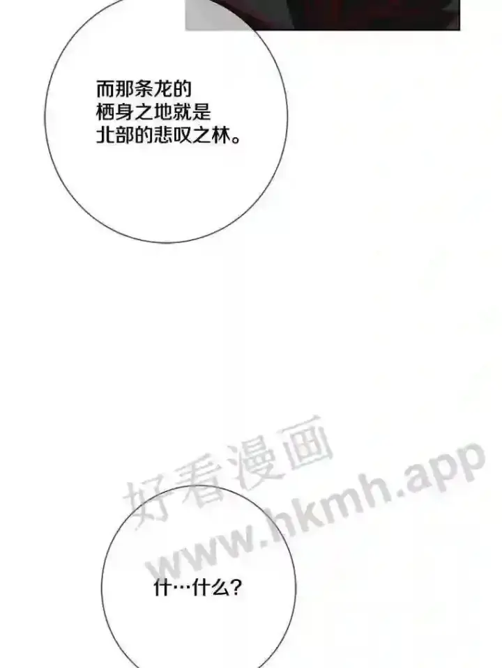 漫画《龙套大公子妃的花路人生》13.药的来历第11张图