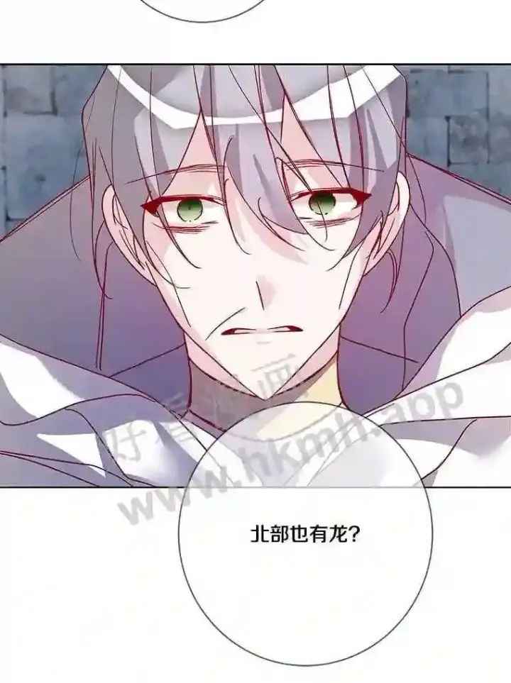 漫画《龙套大公子妃的花路人生》13.药的来历第12张图