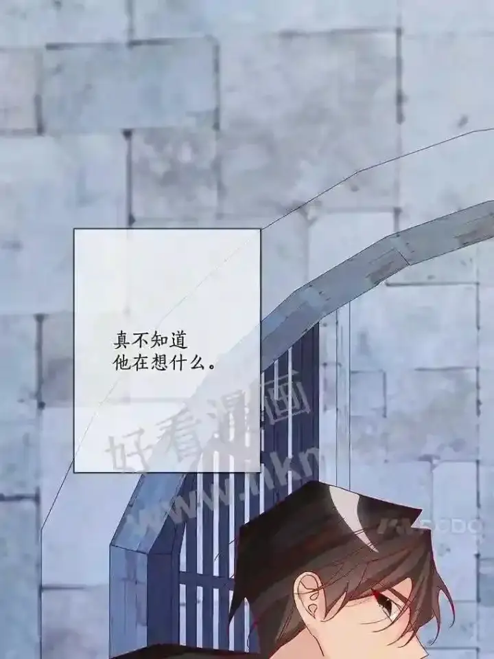 漫画《龙套大公子妃的花路人生》13.药的来历第13张图