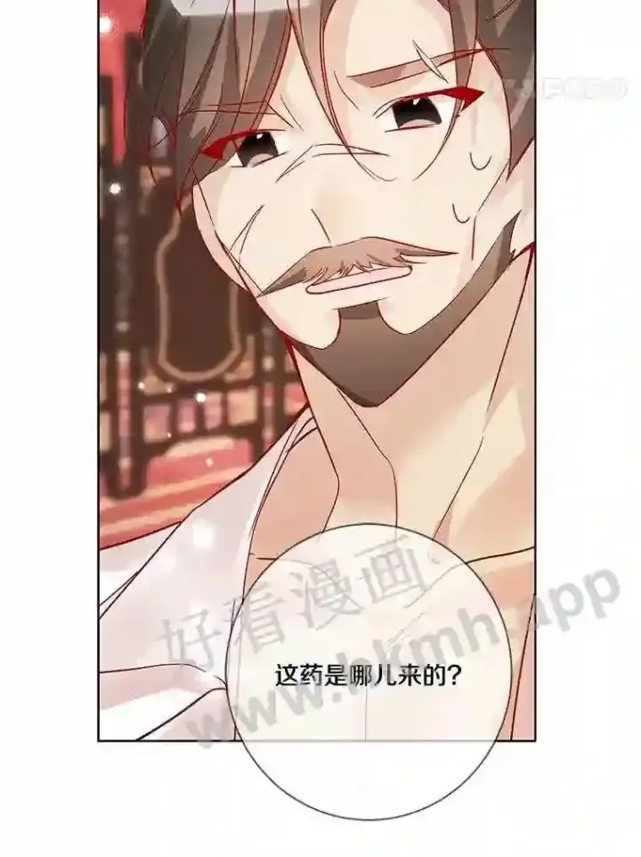 漫画《龙套大公子妃的花路人生》13.药的来历第79张图