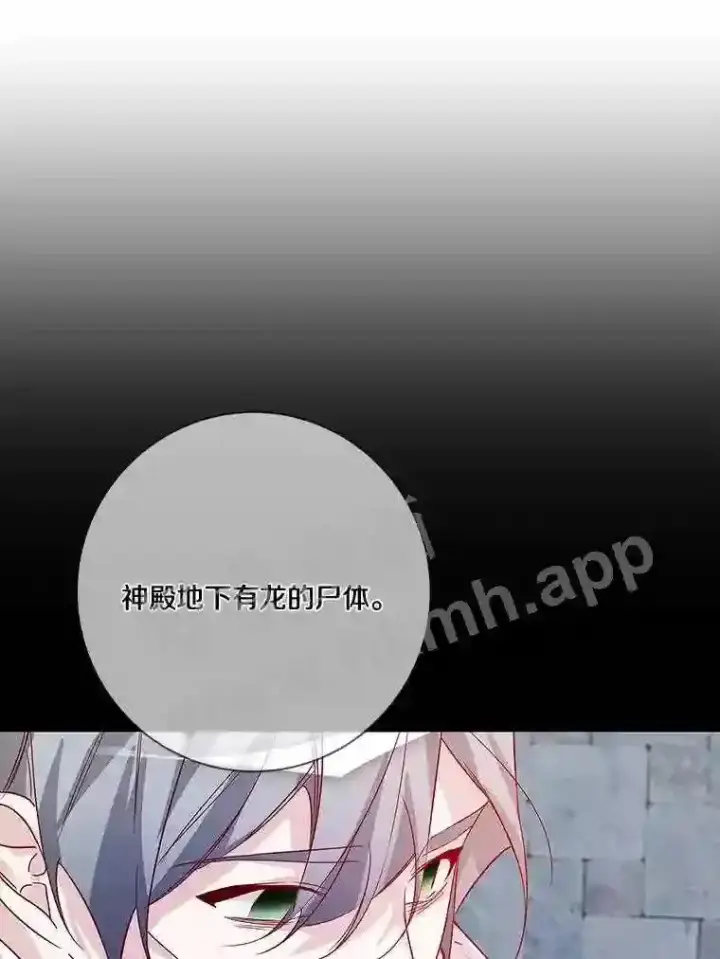 漫画《龙套大公子妃的花路人生》13.药的来历第80张图
