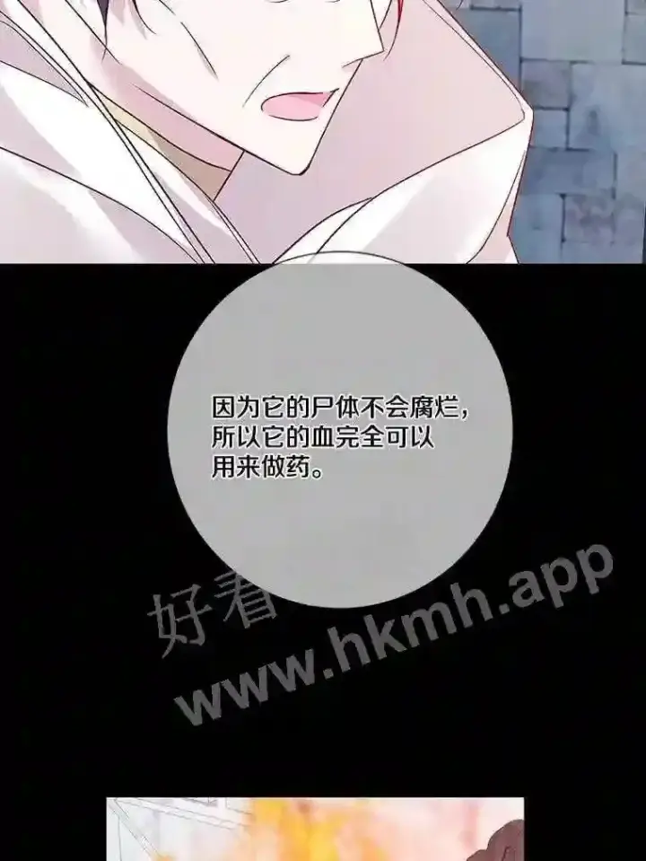 漫画《龙套大公子妃的花路人生》13.药的来历第81张图
