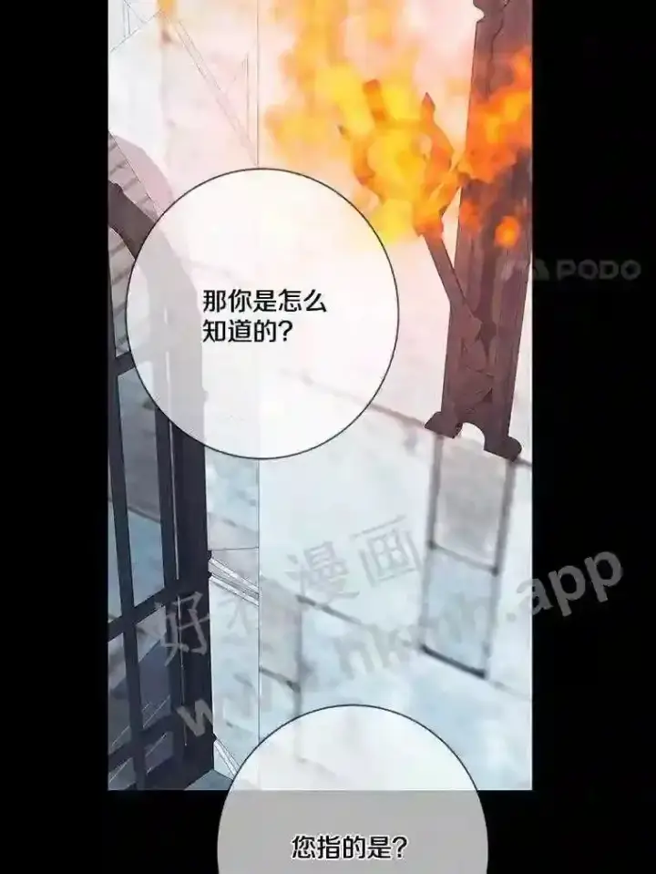 漫画《龙套大公子妃的花路人生》13.药的来历第82张图