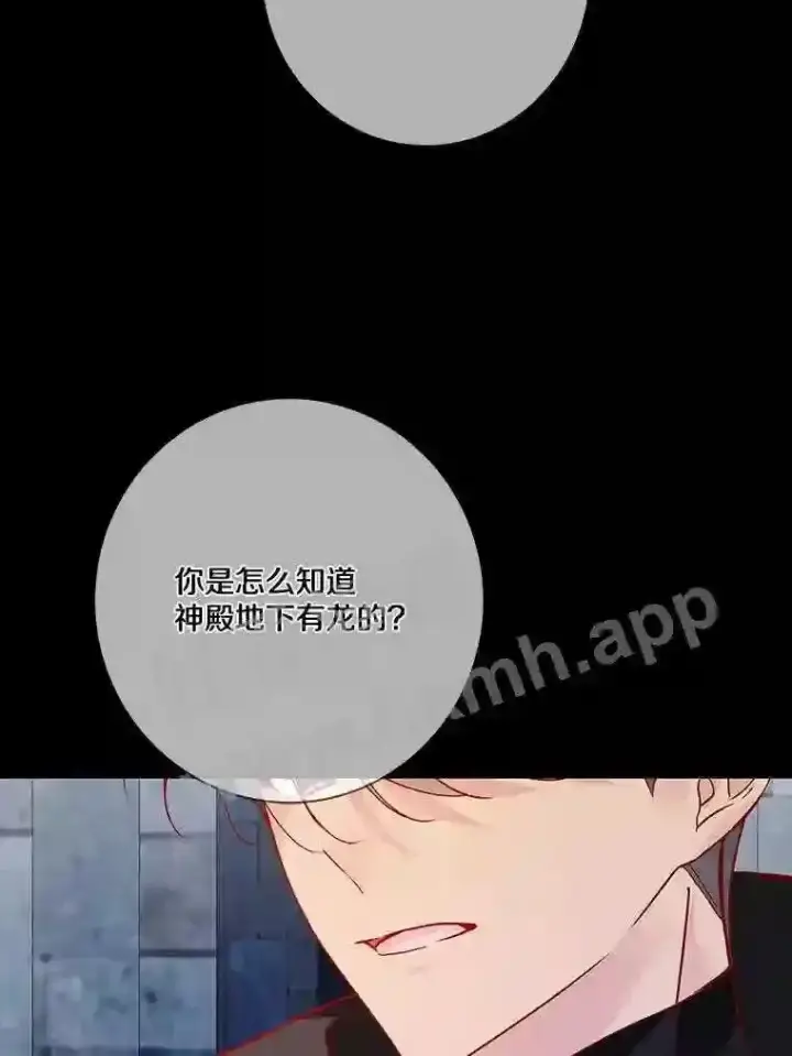 漫画《龙套大公子妃的花路人生》13.药的来历第83张图
