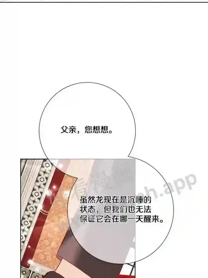 《龙套大公子妃的花路人生》14.全家去都城?图102