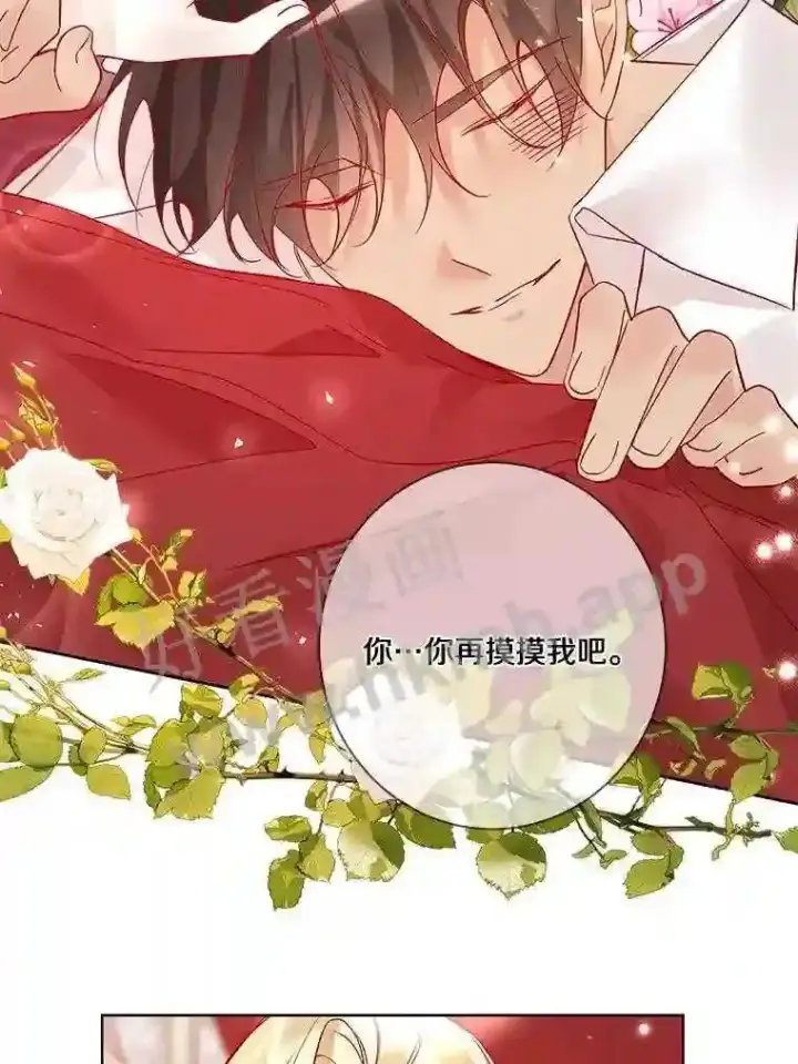 《龙套大公子妃的花路人生》14.全家去都城?图8