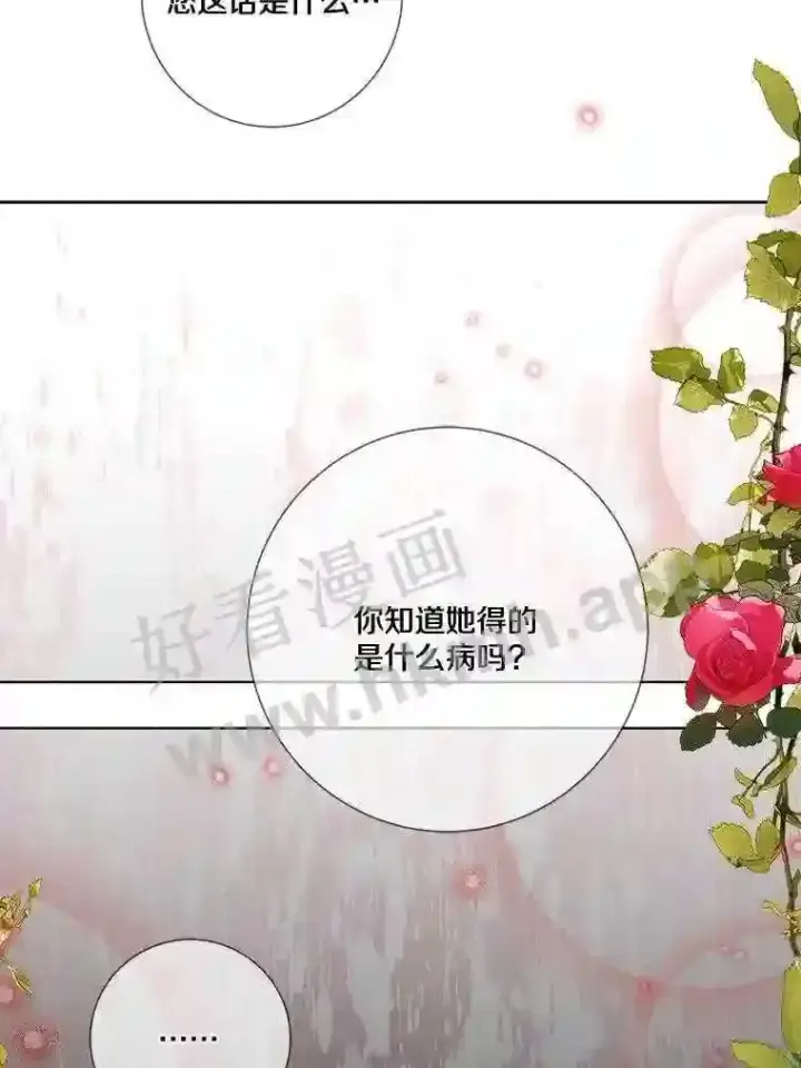 《龙套大公子妃的花路人生》15.驯龙师?图15