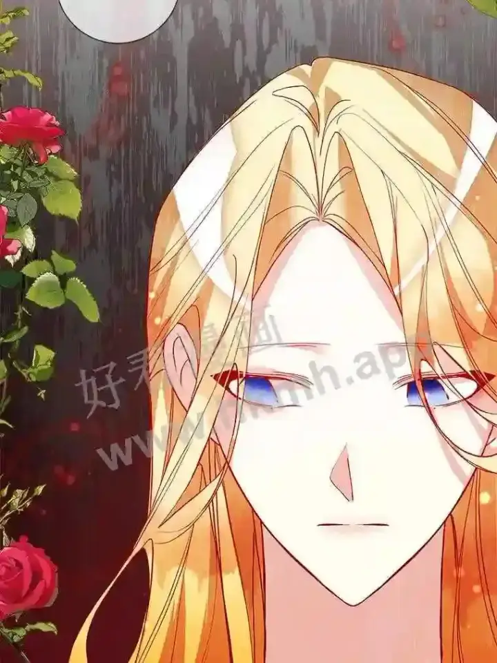 《龙套大公子妃的花路人生》15.驯龙师?图16