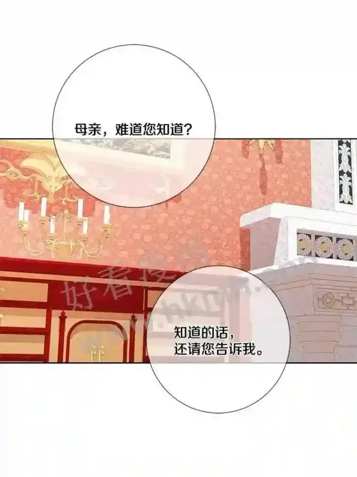 《龙套大公子妃的花路人生》15.驯龙师?图18