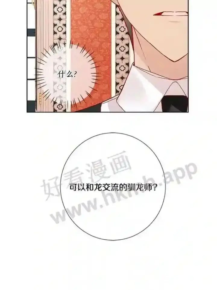 《龙套大公子妃的花路人生》15.驯龙师?图24