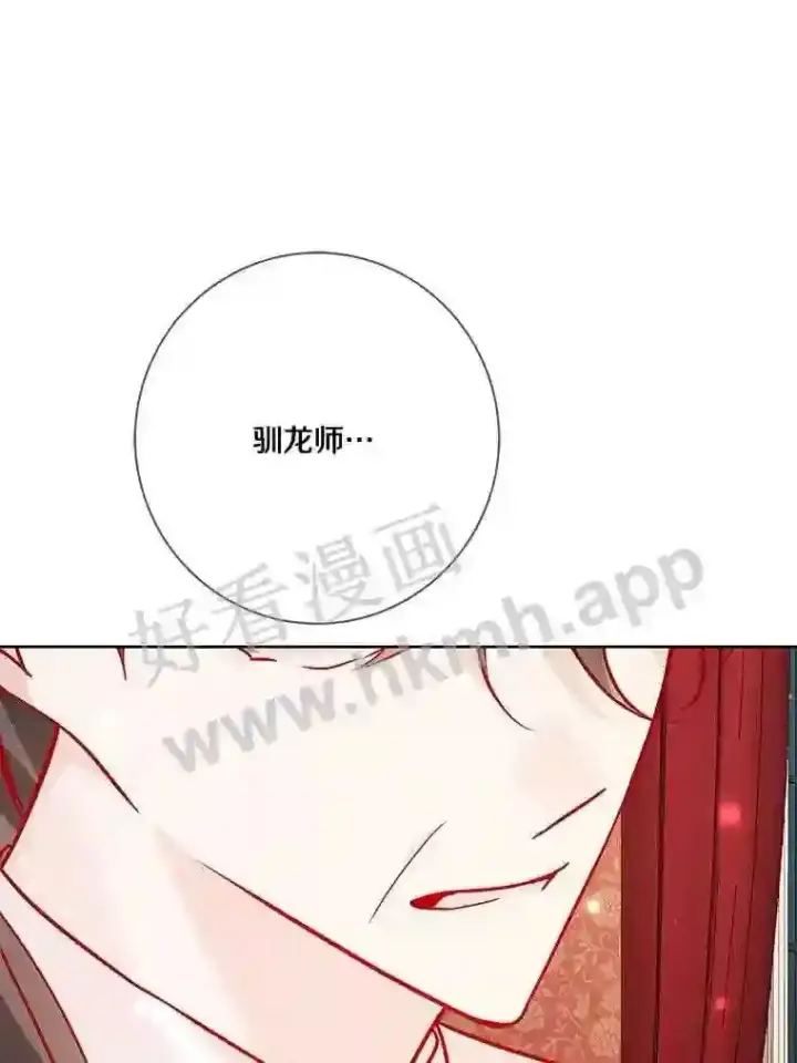 《龙套大公子妃的花路人生》15.驯龙师?图37