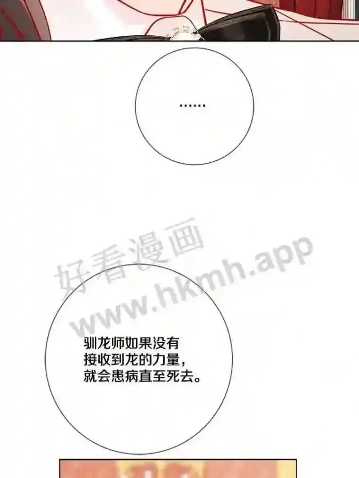 《龙套大公子妃的花路人生》15.驯龙师?图38