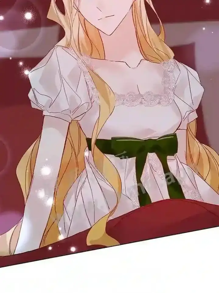 漫画《龙套大公子妃的花路人生》16.出发去悲鸣谷第12张图