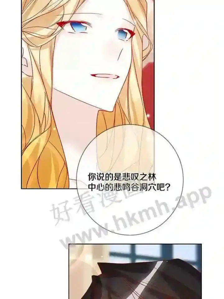 漫画《龙套大公子妃的花路人生》16.出发去悲鸣谷第41张图