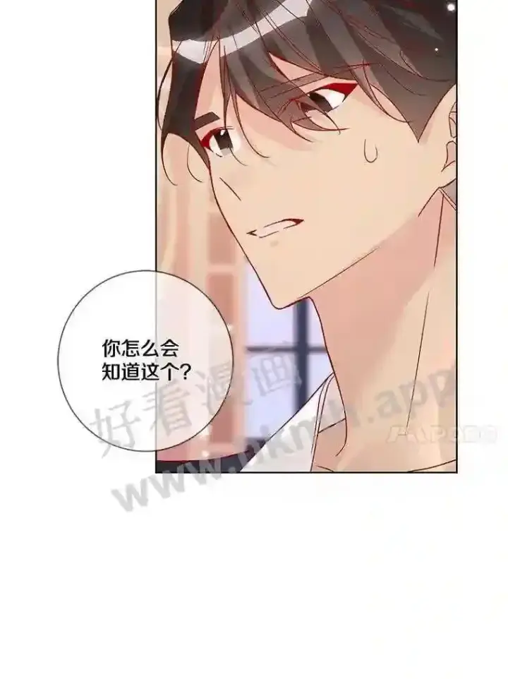 漫画《龙套大公子妃的花路人生》16.出发去悲鸣谷第42张图