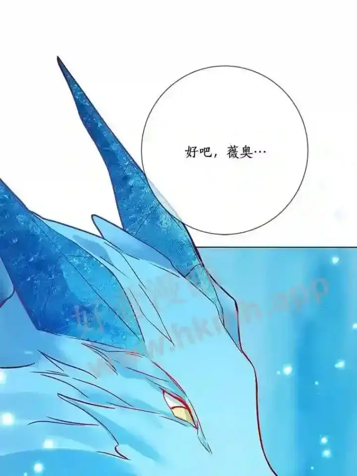 《龙套大公子妃的花路人生》18.龙的主人图37