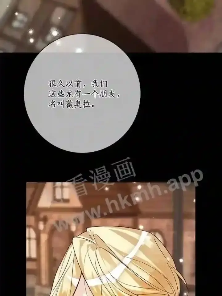 《龙套大公子妃的花路人生》18.龙的主人图46
