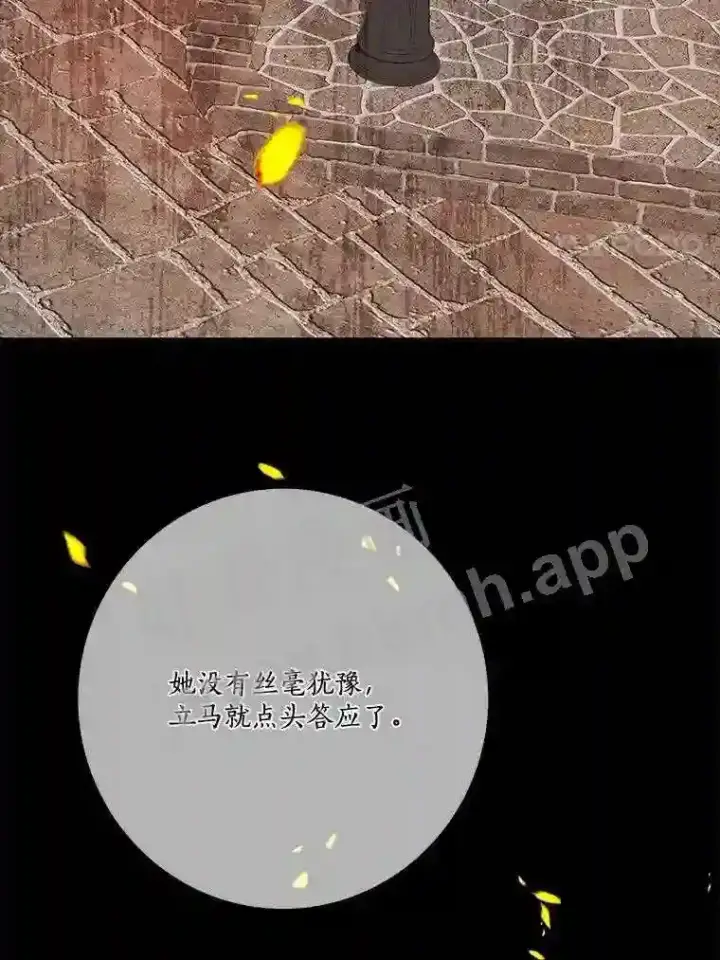 《龙套大公子妃的花路人生》18.龙的主人图52