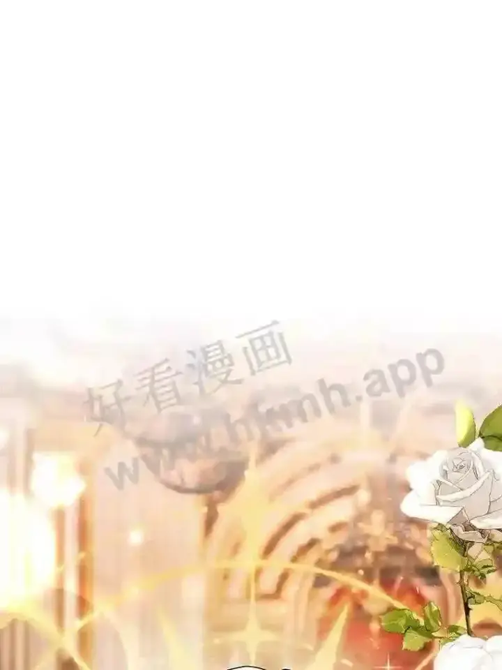 《龙套大公子妃的花路人生》19.宴会前夕图13