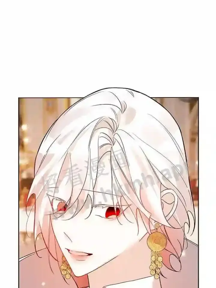 《龙套大公子妃的花路人生》19.宴会前夕图19