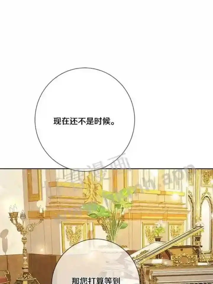 《龙套大公子妃的花路人生》19.宴会前夕图25