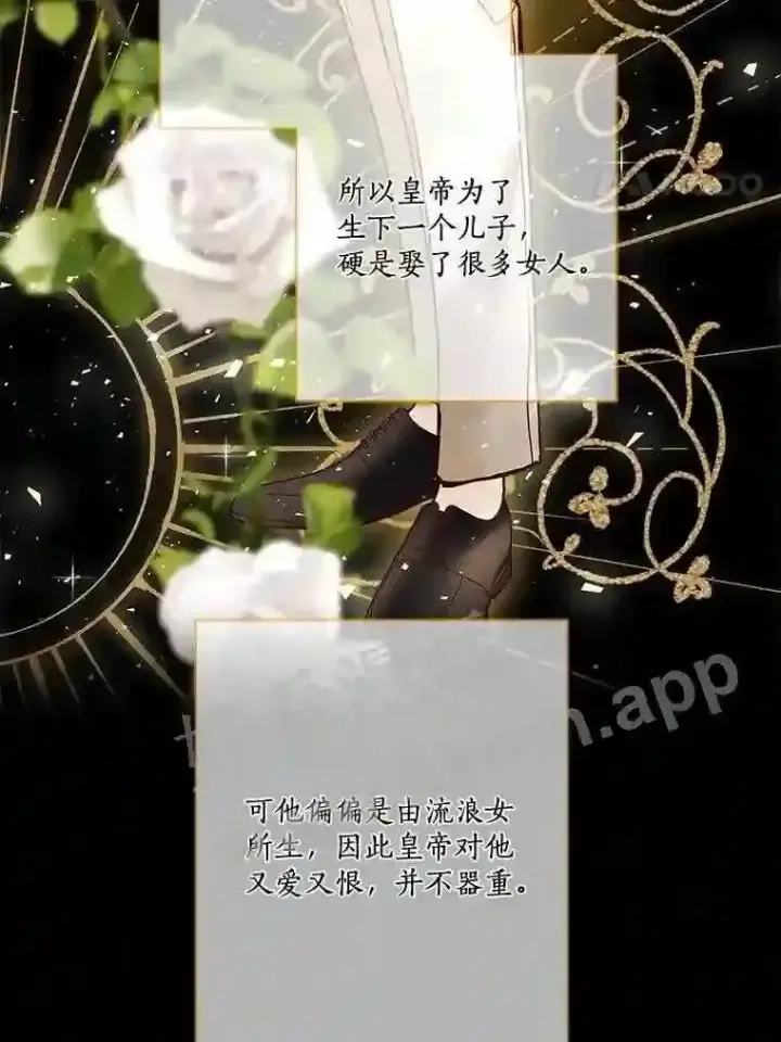 《龙套大公子妃的花路人生》19.宴会前夕图4