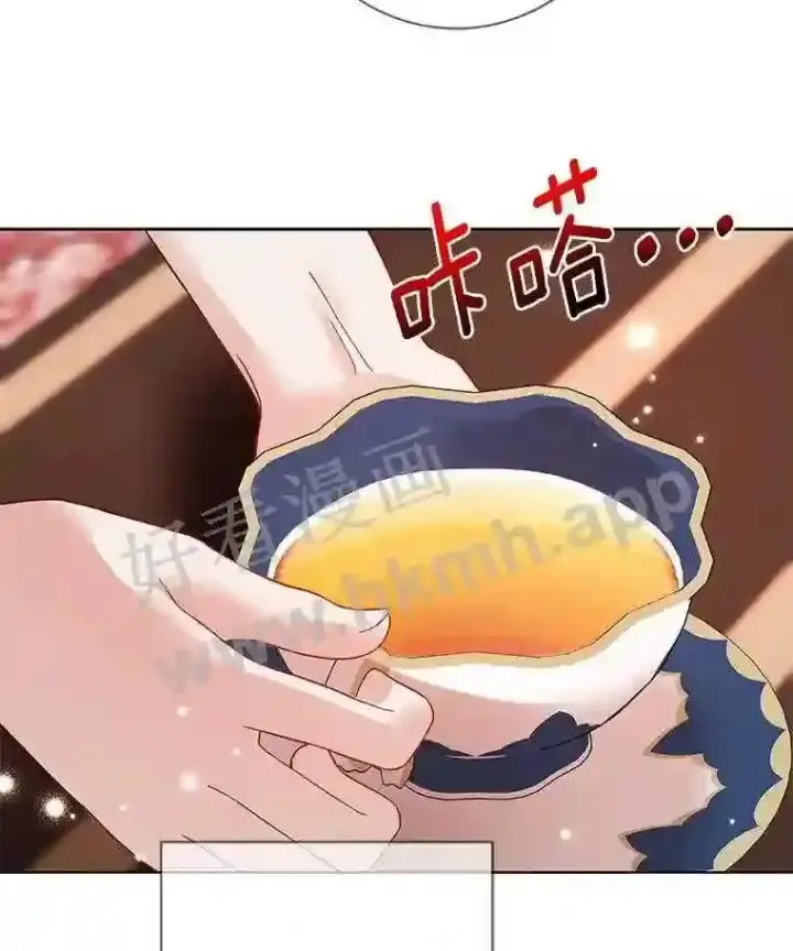 《龙套大公子妃的花路人生》19.宴会前夕图42
