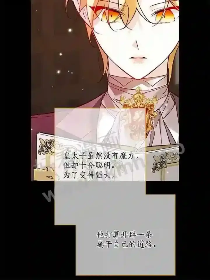 《龙套大公子妃的花路人生》19.宴会前夕图6