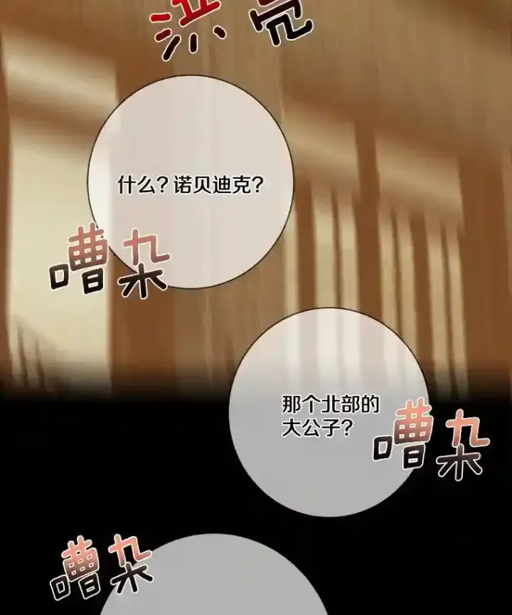 《龙套大公子妃的花路人生》21.宠妻日常图55