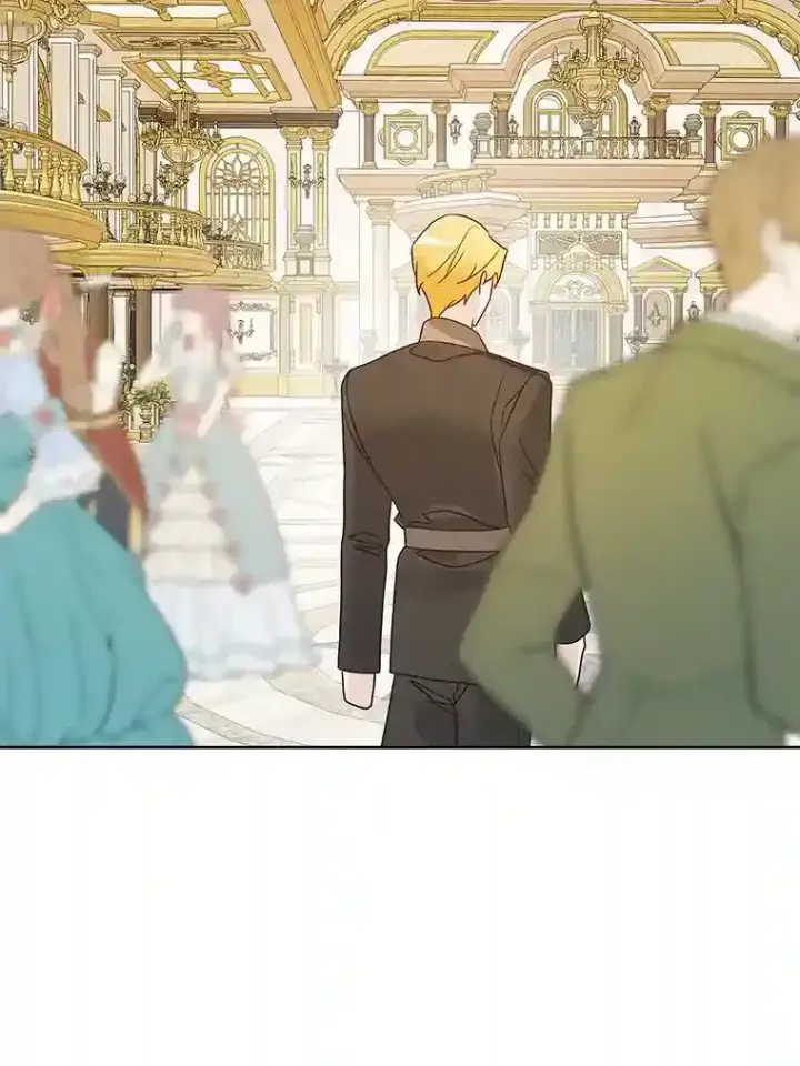 《龙套大公子妃的花路人生》23.宴会第一天图108