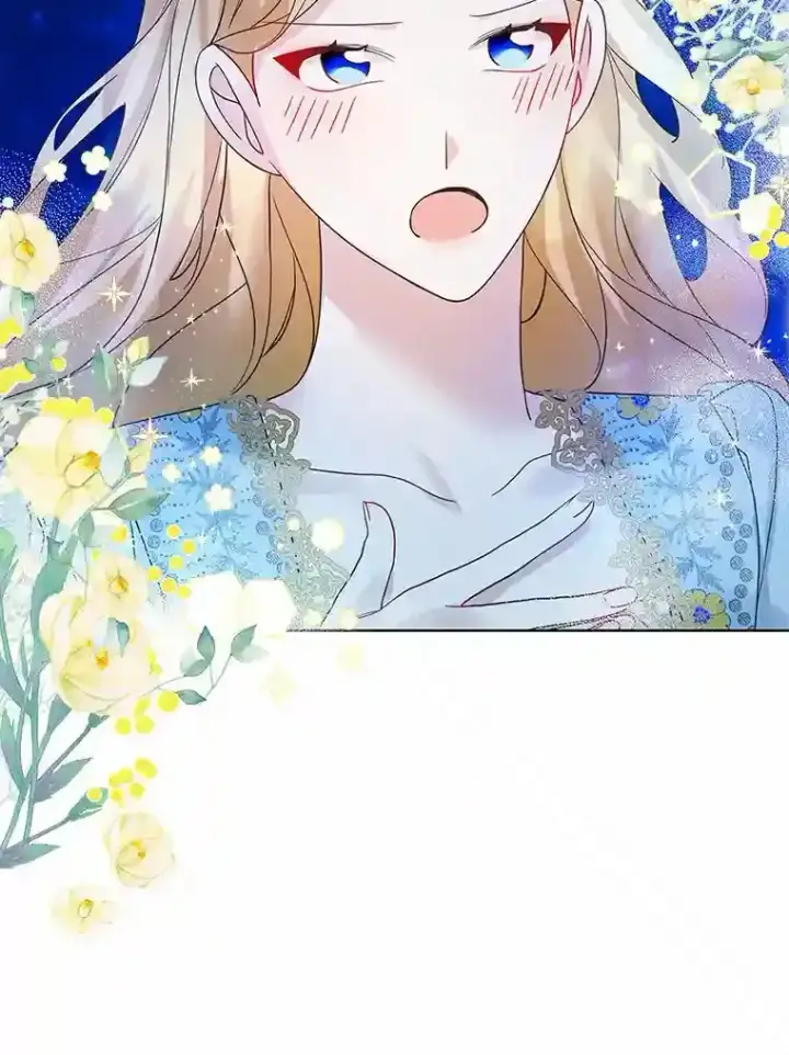 《龙套大公子妃的花路人生》23.宴会第一天图22
