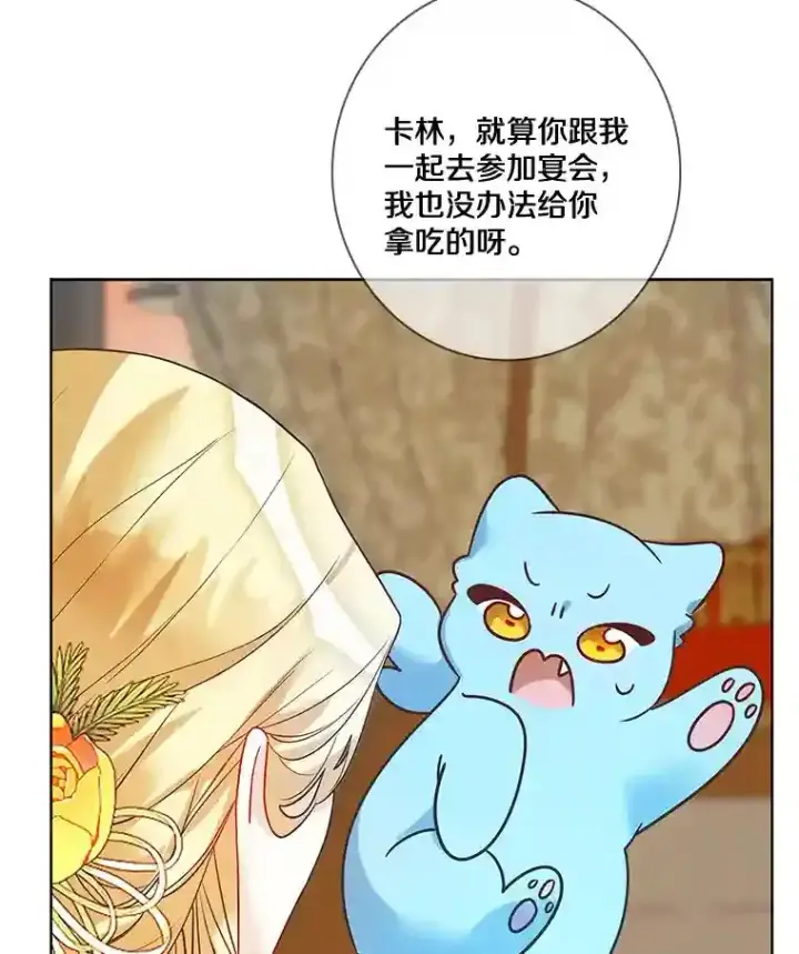 《龙套大公子妃的花路人生》23.宴会第一天图58