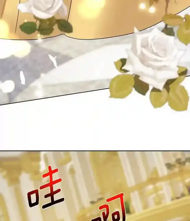 《龙套大公子妃的花路人生》23.宴会第一天图76