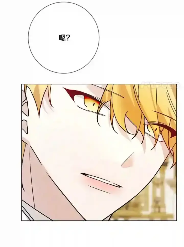 《龙套大公子妃的花路人生》23.宴会第一天图89