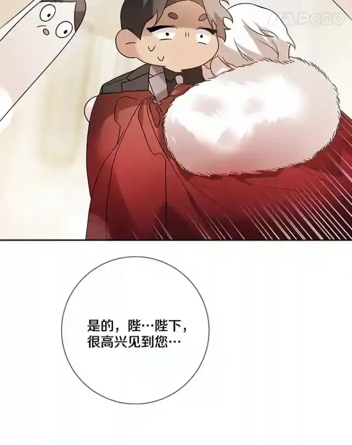 《龙套大公子妃的花路人生》24.拜见皇帝图73