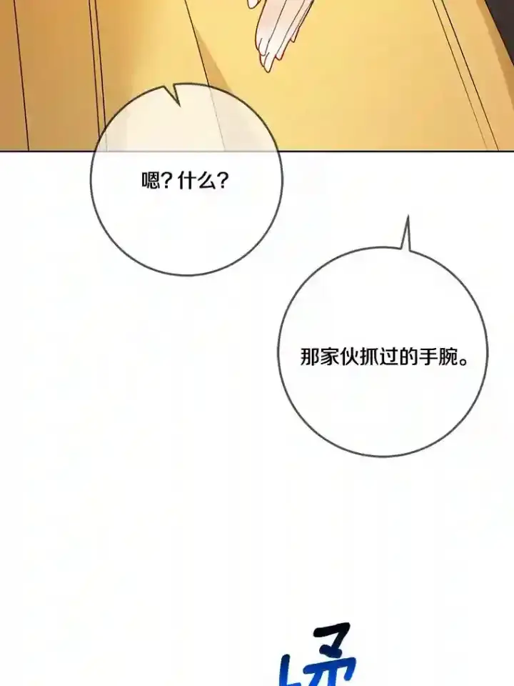 《龙套大公子妃的花路人生》25.遇见父母图84