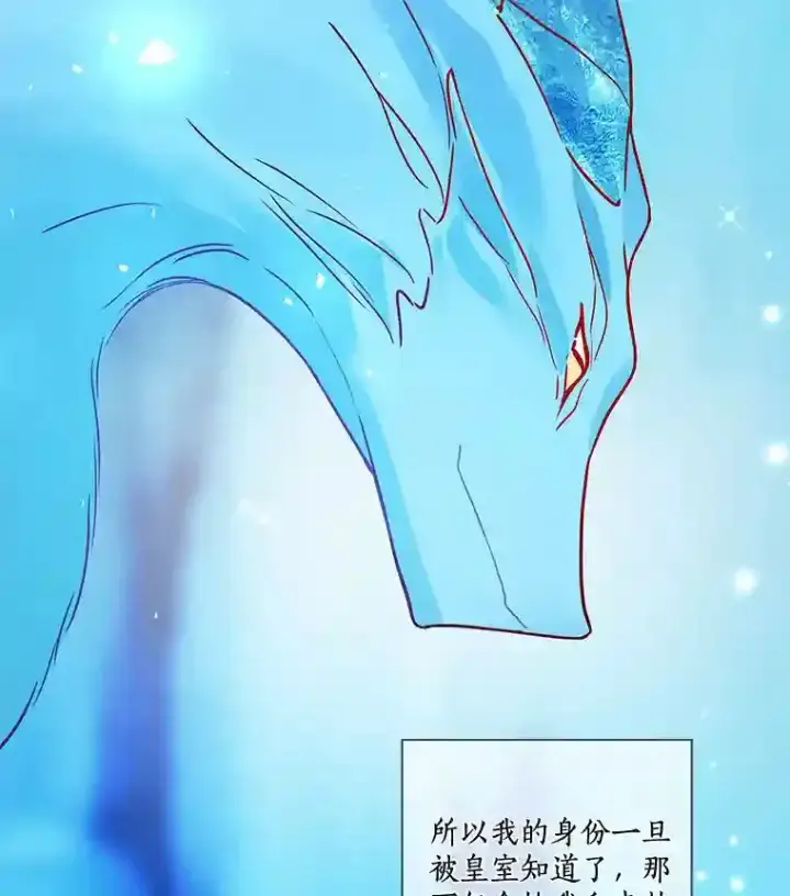 《龙套大公子妃的花路人生》26.皇女邀约图26