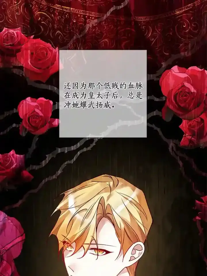 《龙套大公子妃的花路人生》26.皇女邀约图92