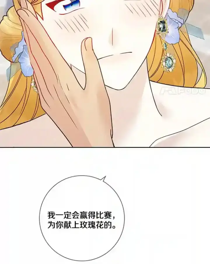 《龙套大公子妃的花路人生》27.手绢图110