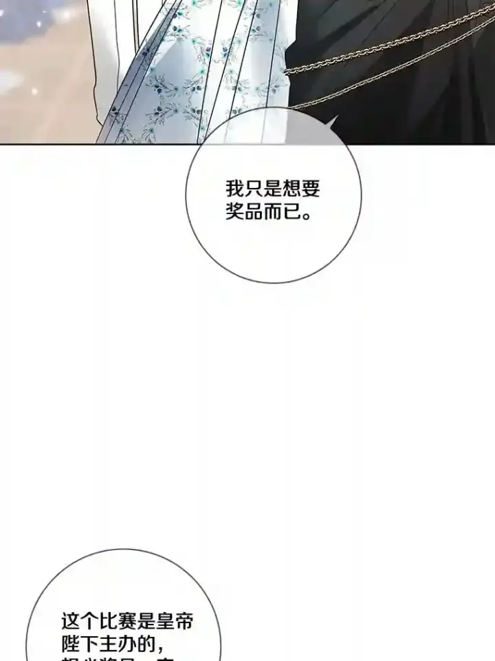 《龙套大公子妃的花路人生》27.手绢图119