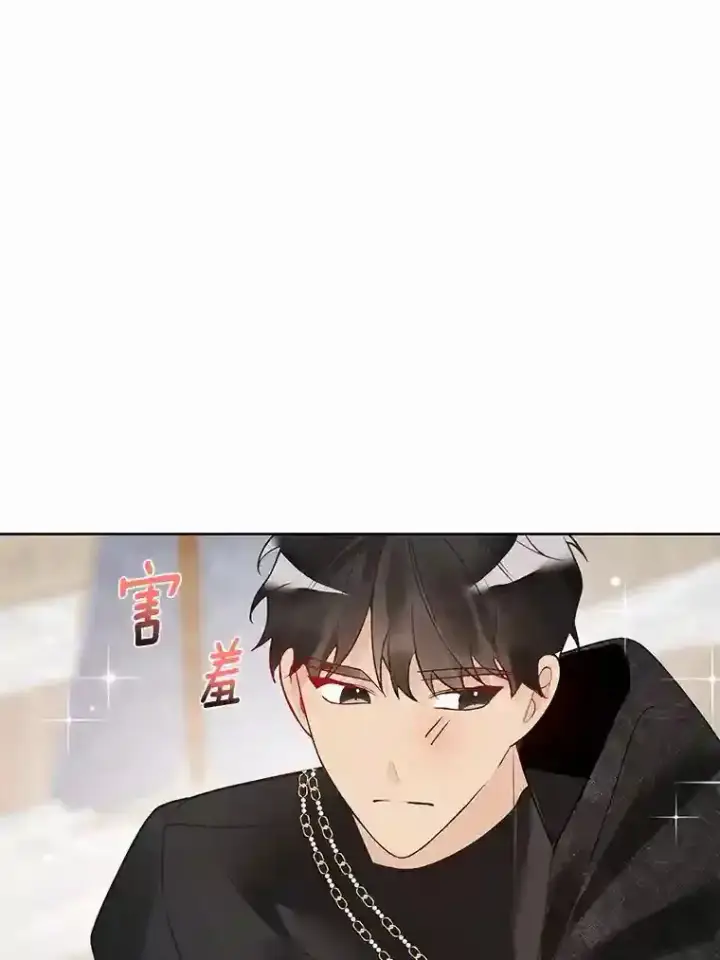 《龙套大公子妃的花路人生》27.手绢图121