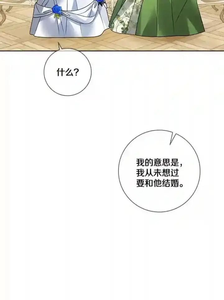 《龙套大公子妃的花路人生》27.手绢图28