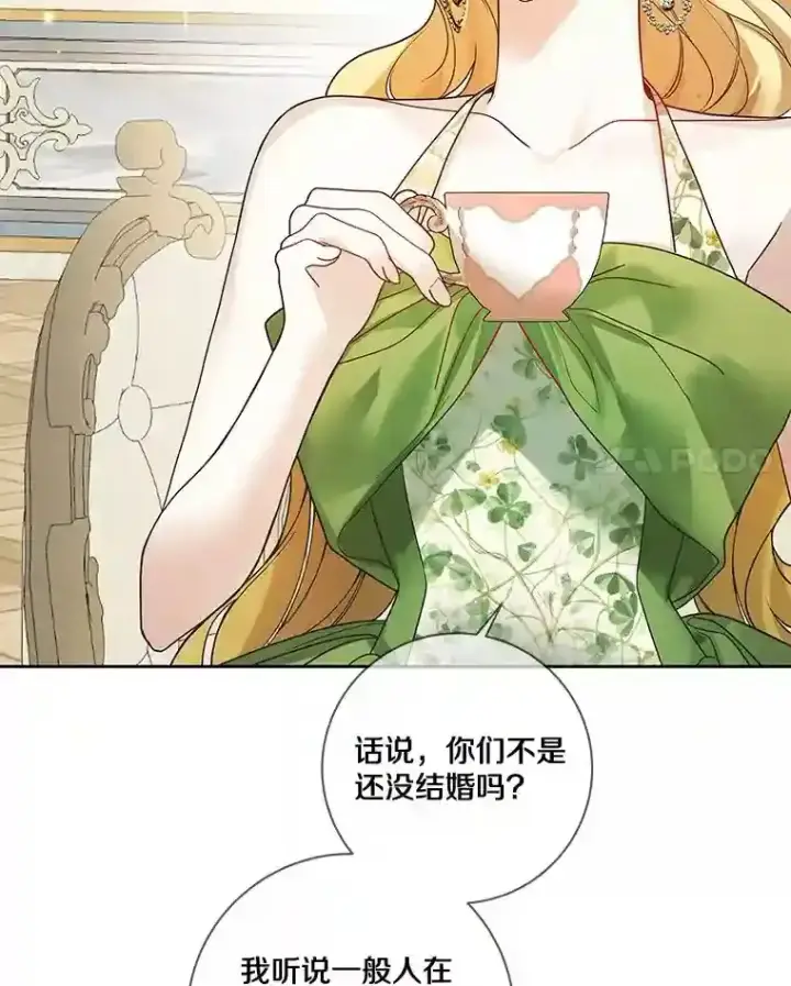 《龙套大公子妃的花路人生》27.手绢图7