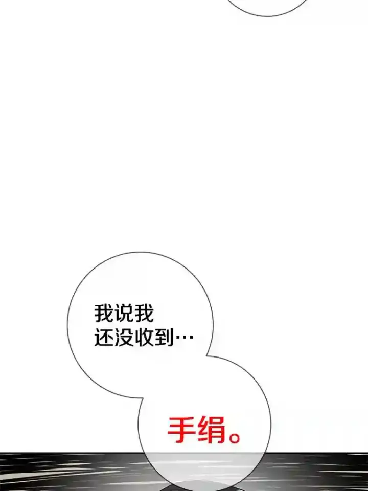 《龙套大公子妃的花路人生》27.手绢图74