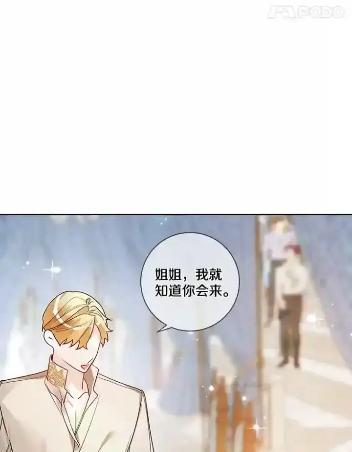 《龙套大公子妃的花路人生》27.手绢图93